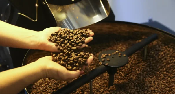 Exportação de café do Brasil cai em 2025, mas bate recorde em receita