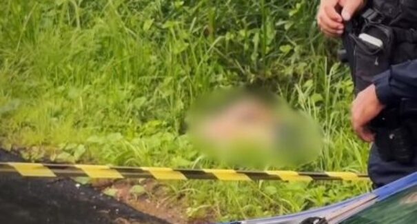 Corpo com múltiplas perfurações é encontrado em área de vegetação em Imperatriz