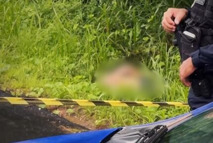 Corpo com múltiplas perfurações é encontrado em área de vegetação em Imperatriz