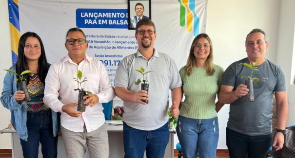 Cafeicultura surge como nova aposta para o desenvolvimento agrícola do Sul do Maranhão