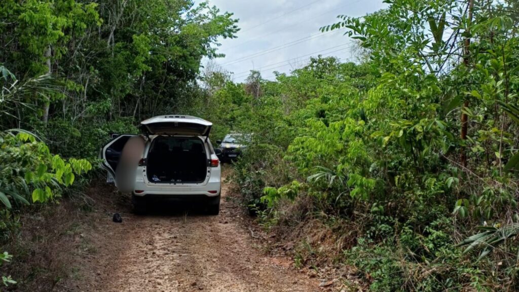Casal sequestrado ao sair de restaurante é resgatado em área de mata em São Luís