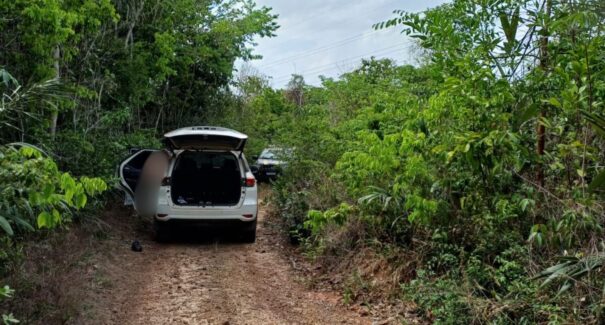 Casal sequestrado ao sair de restaurante é resgatado em área de mata em São Luís