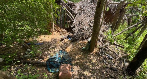 Cães farejadores confirmam passagem de irmãos desaparecidos em abrigo na zona rural de Bacabal