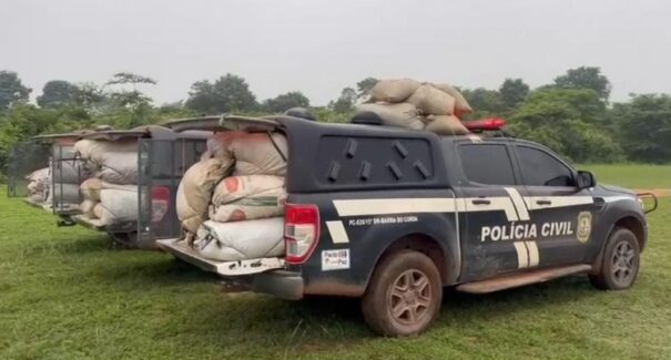 Polícia Civil apreende cerca de duas toneladas de maconha e prende três pessoas em Grajaú