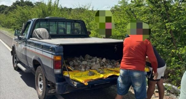 Polícia Civil prende dois homens em flagrante por depredação de patrimônio público em Viana