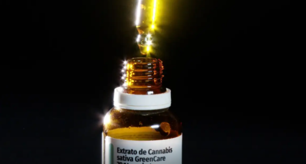 Anvisa aprova cultivo de cannabis por empresas e amplia acesso