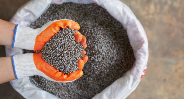 Importações de fertilizantes batem recorde no Brasil e reforçam desempenho do agronegócio