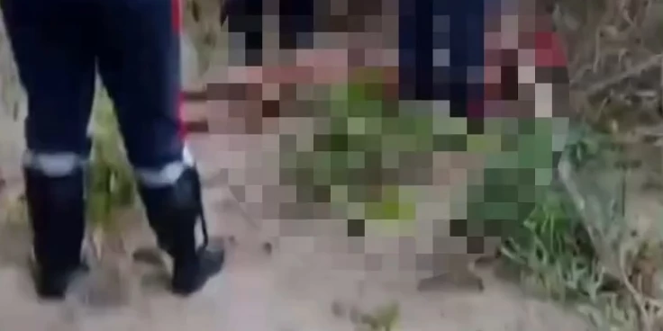 (Foto: Reprodução)