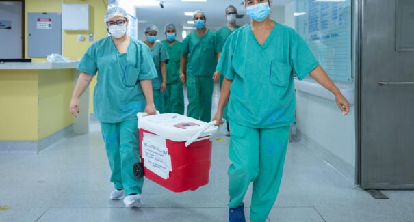 Maranhão registra primeiro transplante hepático intervivos entre adultos do Nordeste