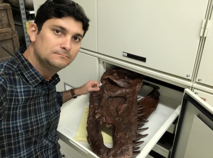 Professor Rafael Lindoso ao lado de um crânio de um terópode (dinossauro bípede carnívoro) durante uma de suas pesquisas sobre vertebrados fósseis (Foto: Divulgação)