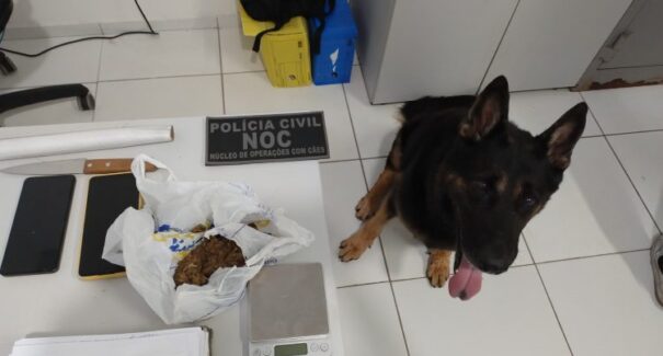 Quatro suspeitos são presos por tráfico de drogas e tentativa de estupro no Maranhão
