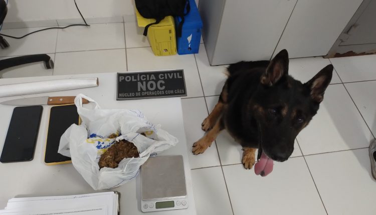 (Foto: Divulgação)