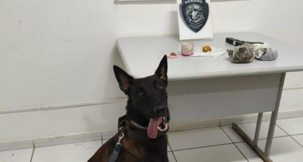 Operação apreende drogas e simulacro de arma no bairro da Ilhinha, em São Luís
