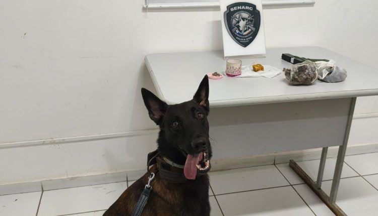 (Foto: Divulgação)