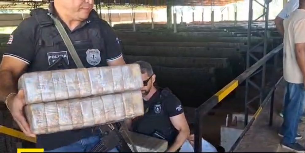 Droga avaliada em R$ 30 milhões é incinerada em Balsas; Denarc inicia ações na região Sul do estado