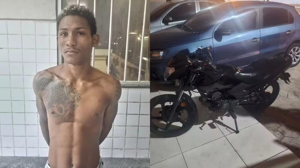 Reprodução