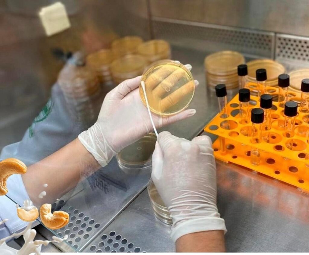 Editais impulsionam startups de base científica e tecnológica (Foto: divulgação)