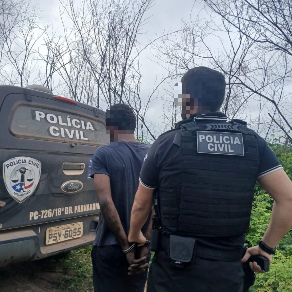 Após o episódio, o suspeito fugiu e passou a se esconder em uma área de mata fechada no povoado Brejinho do Ismael.  (Divulgação/PCMA)