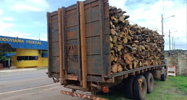 Caminhão com madeira nativa sem documentação é interceptado no Maranhão