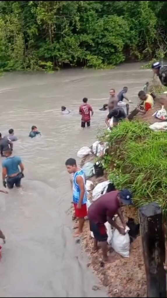 Populares capturam caranguejos durante período da andada em Cururupu. (Reprodução/Redes Sociais)