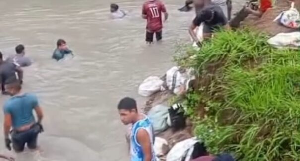 Vídeo: andada do caranguejo ocorre durante período de captura proibida no Maranhão