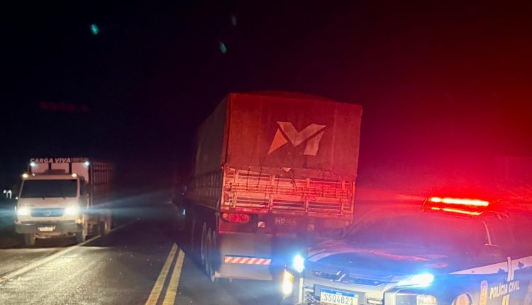 (Foto: Divulgação)