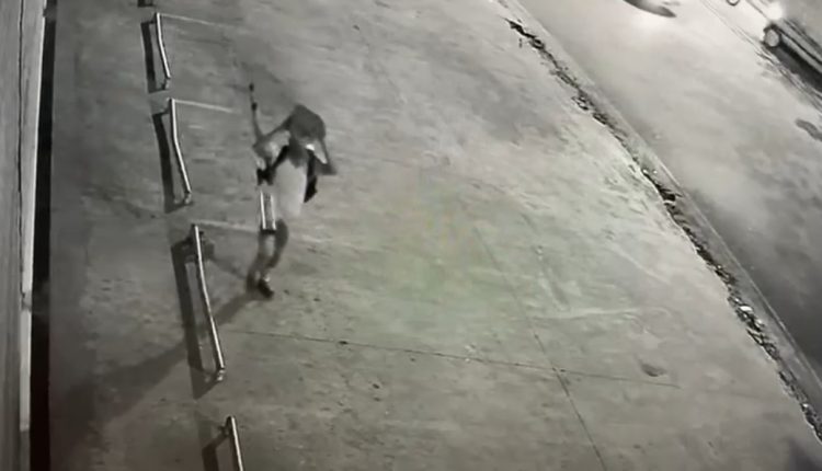 (Foto: Reprodução)