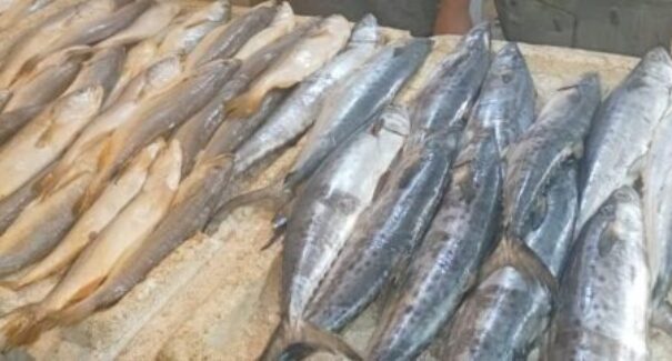 Preço altos afastam consumidores do pescado em São Luís