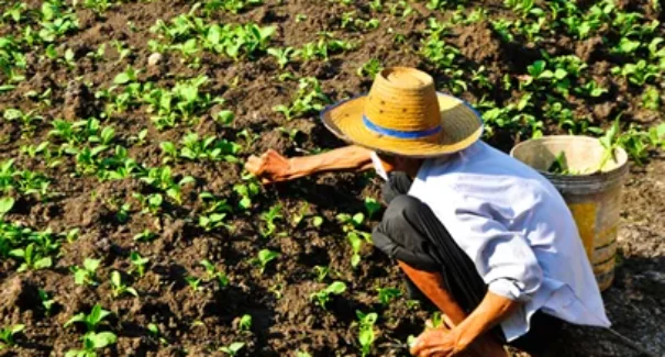 Incra reconhece 1.612 famílias quilombolas do Maranhão para acesso à reforma agrária