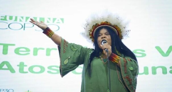 Ministra Sônia Guajajara é internada em São Paulo com suspeita de infecção