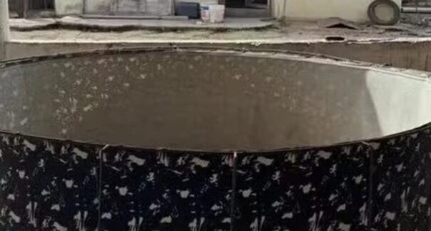 Mulher é presa após polícia encontrar rinha clandestina com galos em Caxias