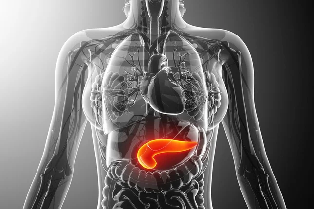 Saúde do pâncreas: ajustes na dieta e no estilo de vida previnem doenças graves