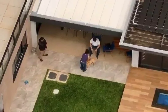 Foto: Reprodução de vídeo 