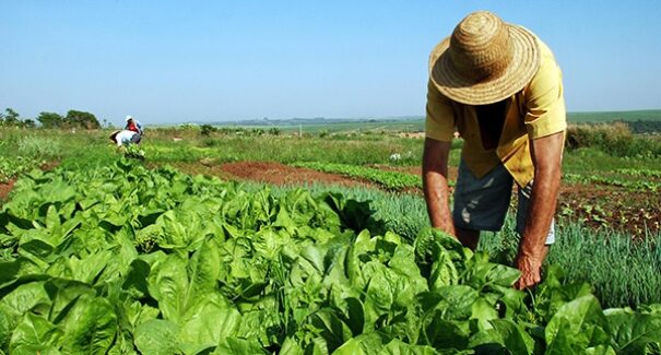 Justiça assegura posse do Incra sobre área de 1,4 mil hectares para reforma agrária no Maranhão