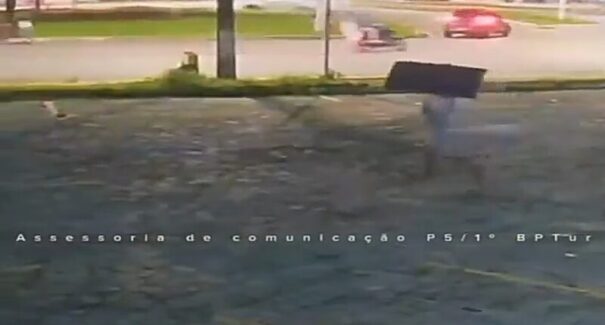 Homem é preso ao carregar TV furtada de igreja em avenida de São Luís