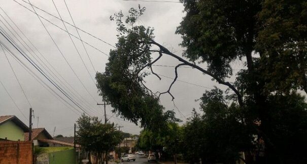 Chuvas intensas elevam risco de acidentes com a rede elétrica; veja como se proteger