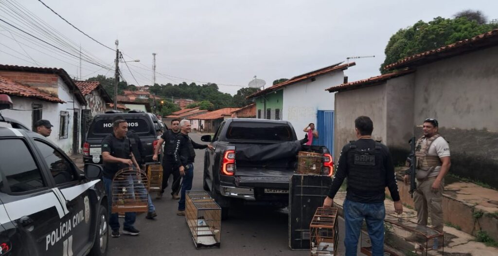 (Foto: Divulgação)
