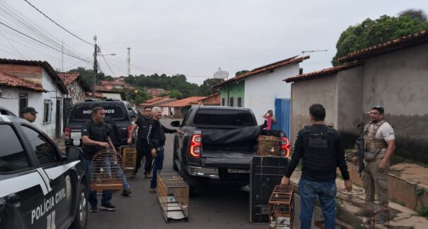 Operação prende três pessoas e apreende drogas e armas em Timon