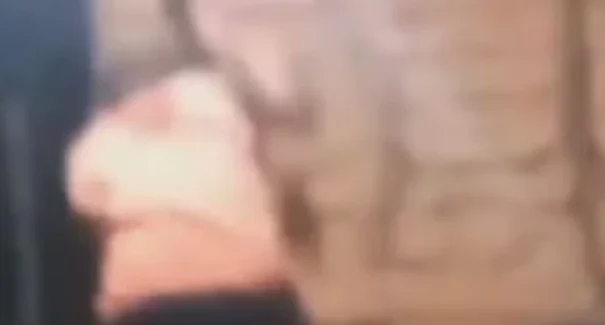 Suspeito de espancar cachorro até a morte é procurado pela polícia no interior do Maranhão
