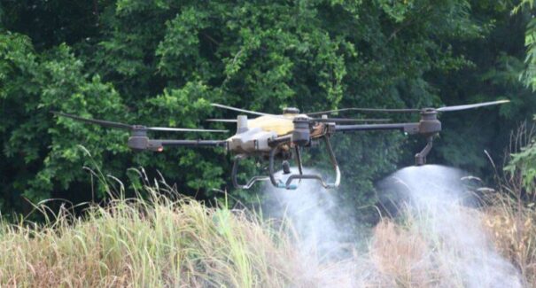 TRF1 mantém suspensão de pulverização aérea de agrotóxicos em Timbiras