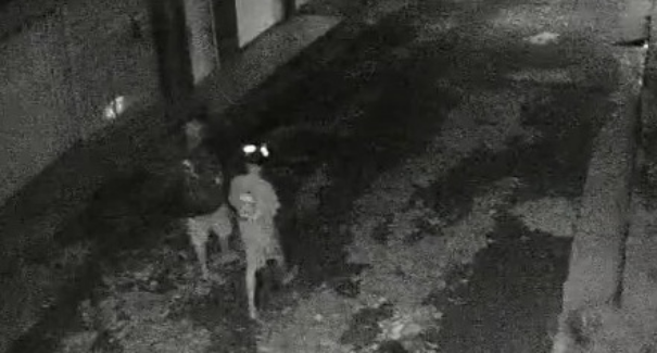 Vídeo: suspeito morre após troca de tiros com a polícia depois de assalto em velório
