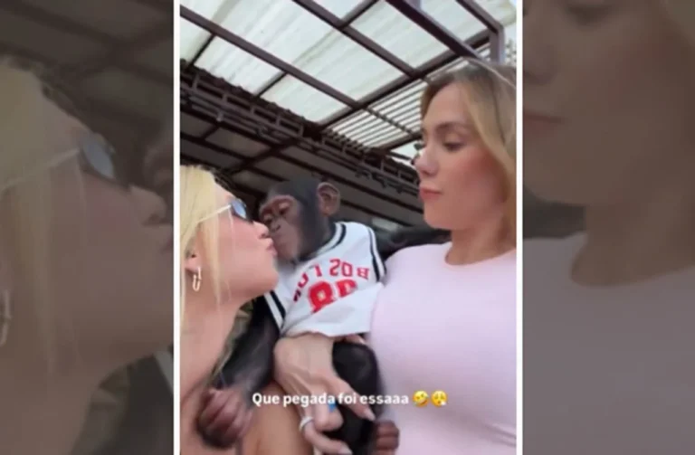 Virginia Fonseca é acusada de incitar racismo contra Vini Jr por vídeo beijando macaco