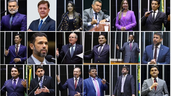 Confira como votaram os parlamentares maranhenses  na PEC da Blindagem (Foto: Reprodução)
