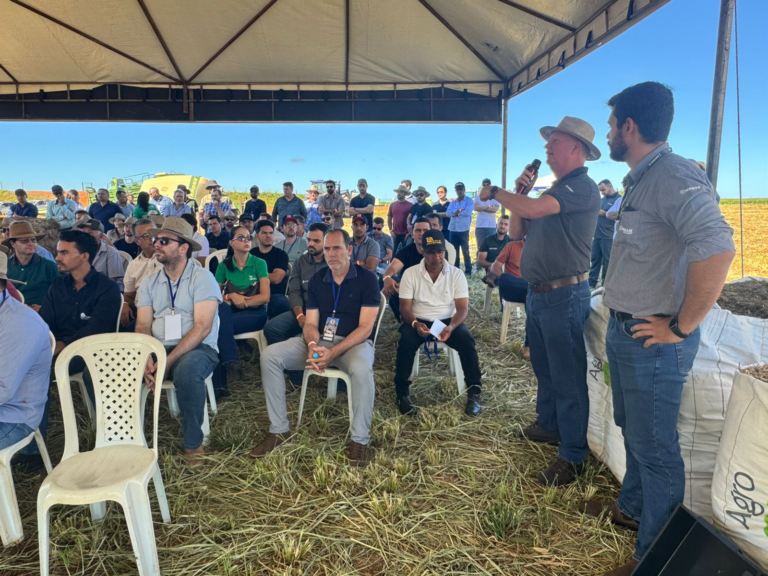 Pecuária ganha força no sul do Maranhão e Encontro de Excelência destaca integração entre soja, milho e gado