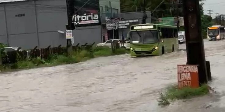 Divulgação