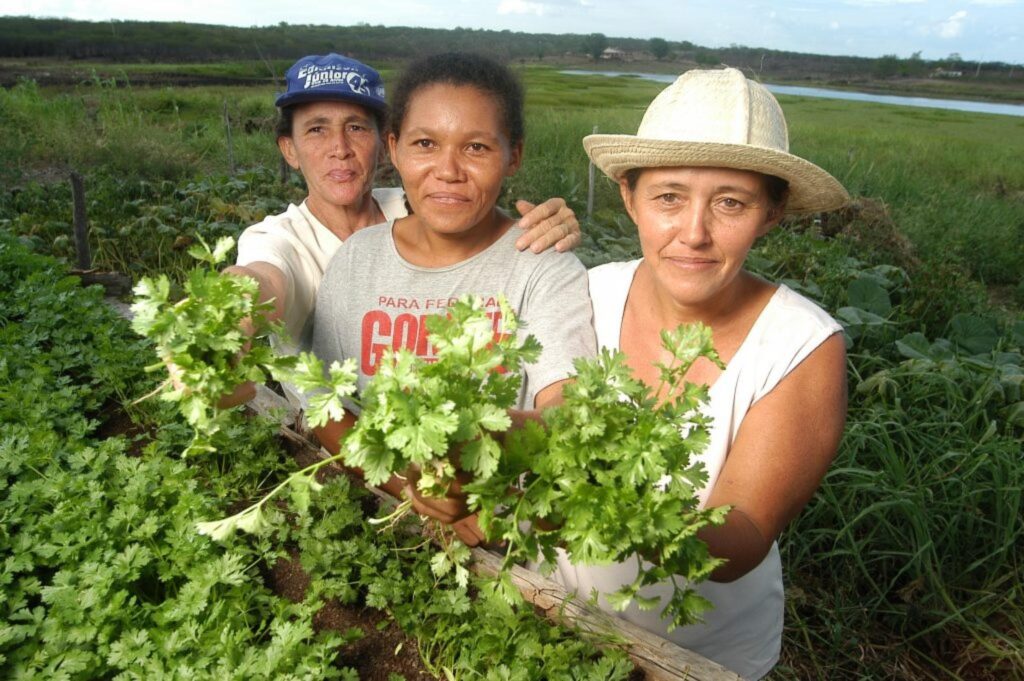 Mulheres rurais ganham destaque em ações de fortalecimento da agricultura familiar