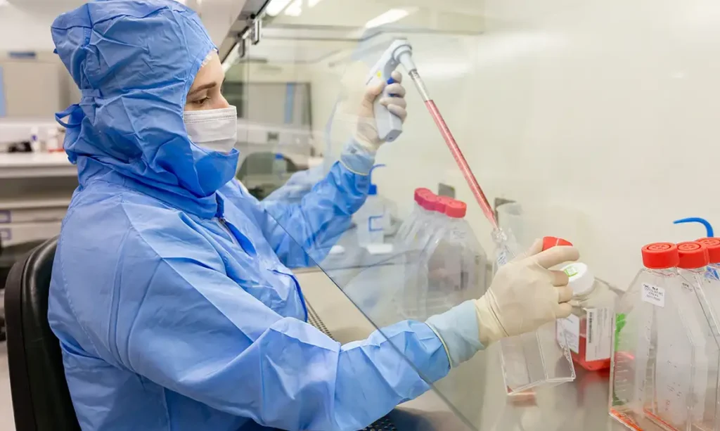 Estudo inédito com células-tronco combate complicação grave do transplante de medula óssea