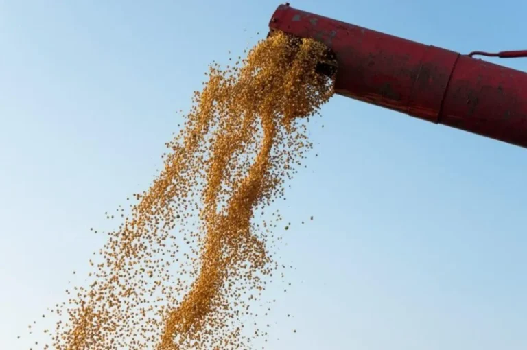 Balança comercial do Maranhão fecha os primeiros cinco meses do ano com superávit de US$ 68,8 milhões