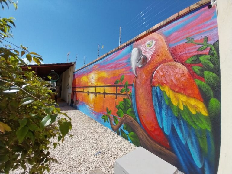 Projeto de muralismo leva oficinas gratuitas e arte urbana a cidades do Maranhão e Pará