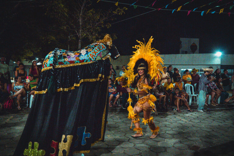 Juventude assume protagonismo e fortalece o futuro da cultura popular maranhense